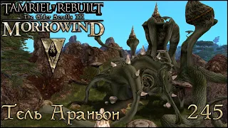 Morrowind Tamriel Rebuilt - Тель Араньон, #183 (245)