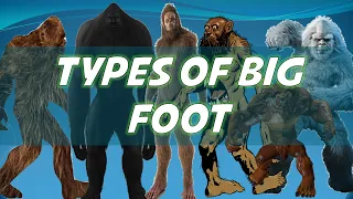 Types Of BigFoot | Explained