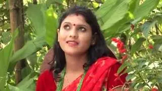 New Nepali Song | Aama Timro Dudhko Varale - Hari Devi Koirala