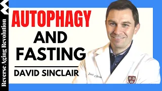 DAVID SINCLAIR “Autophagy And Fasting” | Dr David Sinclair Interview Clips