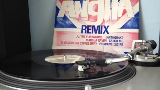 The Flirtations Earthquake Marsha Raven Catch Me Hi-Energy Anglia Remix