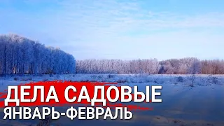 Садовые заботы в январе и феврале