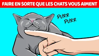 10 Façons Scientifiques De Faire En Sorte Que Votre Chat Vous Fasse Confiance