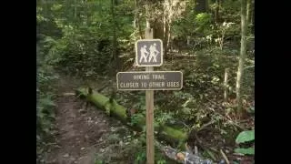 Chattooga River Trail Hike  - Sandy Ford Rd. - Rabun Co., GA 9-20-16