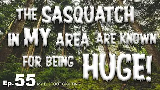 The Sasquatch in MY Area are Known for Being Huge! - My Bigfoot Sighting Episode 55