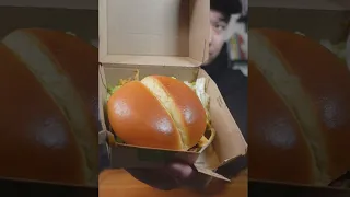 Let's Try McDonald's Spicy McCrispy Chicken Sandwich