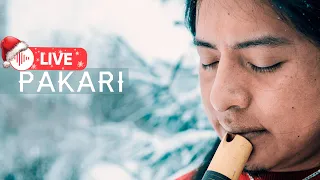 Pakari (Yupanki) - Let's Start This Year With Music And Happiness