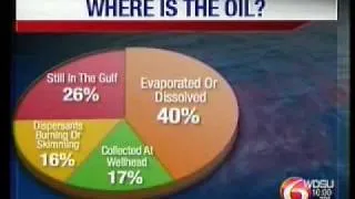 BP Oil Spill-Out of Sight Out of Mind?  Where's The Proof Of What Happened To All The Oil?