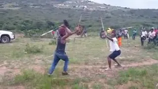 Zulu stick fight