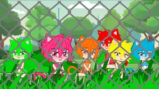 // 🐈👸🏼😞🐺😇 The gacha stereotype zoo 😇🐺😞👸🏼🐈 // not original // part 1 // give suggestions