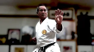 Meaning of Karate | Sadayuki Taira | 空手の意味 | 平良貞行先生 | Okinawa Karate【沖縄空手】