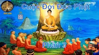 Bạn Có Duyên Với Phật Nghe Đọc Truyện Đêm Khuya Cuộc Đời Đức phật thích Ca P3 Câu chuyện phật giáo