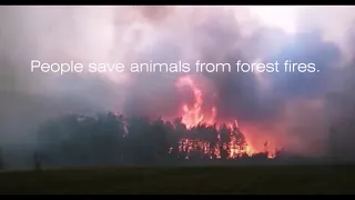 ?? FIRES in Siberia - The Forests of RUSSIA are burning now 2021 - It's horrible!