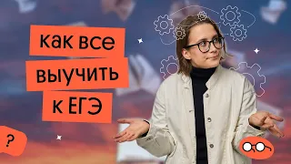 КАК ЗАПОМИНАТЬ ВСЁ ДЛЯ ЕГЭ ? | МНЕМОТЕХНИКА И ПАМЯТЬ | Вебиум