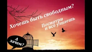 СВОБОДА ВМЕСТЕ С ИСКР | Презентация 28 09 18 (лектор С.Лященко)