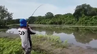 “RUN DANIEL!” Crocodile Attacks Fisherman and Steals His Fish