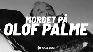Mordet på Olof Palme - Sigge Cedergren, Vittne, (Tingsrätten)