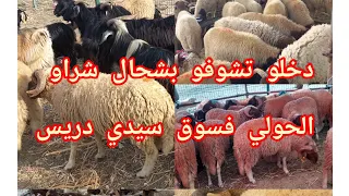 سوق سيدي دريس اليوم الخميس دخلو تشوف بشحال شراو الحولي وثمن الخروفة🐏🐐