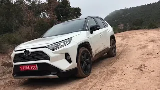 New 2019 Toyota RAV4 Hybrid Test Drive