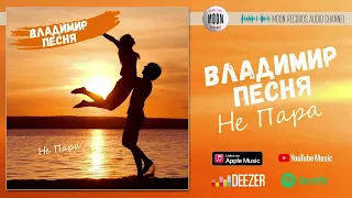 Владимир Песня - Не пара | Official Audio