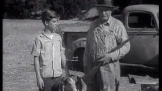 Lassie - Episode 85 - "Champion" - Season 3, #20 (01/20/1957)