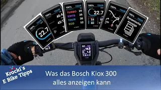 Was das Bosch Kiox 300 alles anzeigen kann.