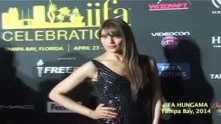 Grand Green Carpet Of IIFA Awards 2014 in Tampa Bay, USA