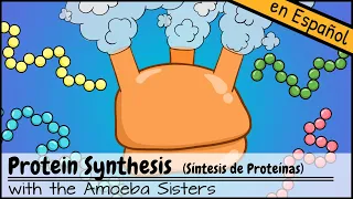 Síntesis de Proteínas