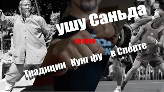 Ушу Саньда или традиции Кунг фу в современном спорте.