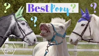 Which Horse is the BEST? Tri-Pony Tournament! AD | This Esme