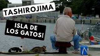 La Isla de los Gatos! Tashirojima, Japón