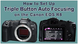 Triple Button Autofocusing for the Canon EOS R8 for Birding: Let Me Show You How To Set This Up.