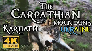 The Carpathian Mountains 4k Ukraine