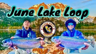 June lake Loop Ca | Eastern Sierra ultralight Trout Fishing | Mini Jigging for trophy size Trout |