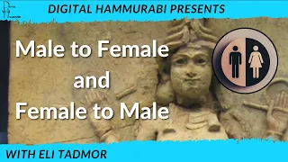 Gender in Ancient Mesopotamia, with Eli Tadmor!