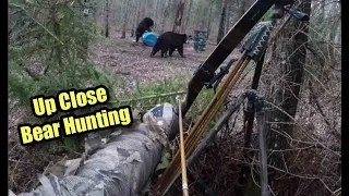 Bear hunting in Saskatchewan- how close is too close?