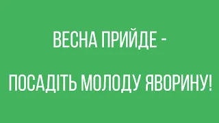 На могилі моїй посадіть Звіробій і Федину 😂