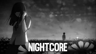 Nightcore - Birds (Spanish Version)