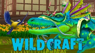 Играем на КРОКОДИЛЕ и выполняем задания WildCraft