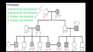 Pedigree Analysis