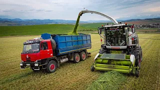 Senáže 2023  - Tatra 815 , Claas jaguar 980 / MIKUŠ /