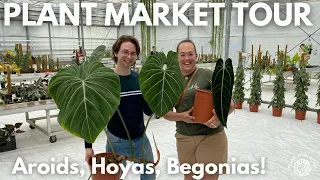 Rare Plant Market Tour! Aroids, Hoya, Begonia.. | Plant with Roos