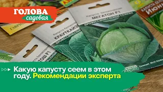 Голова садовая - Какую капусту сеем в этом году. Рекомендации эксперта