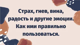 Базовые эмоции: о чём они сигнализируют | Как пользоваться своими эмоциями