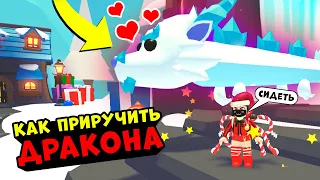 КАК ПРИРУЧИТЬ ДРАКОНА в Роблокс Адопт МИ? Зимнее обновление в Roblox Adopt Me