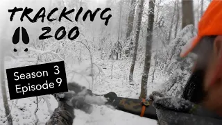 Tracking 200 S3E9: Adirondack Mountain Deer Hunting Big Bucks Part 3 Final