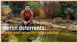 Heron deterrents: Simple pond netting anchor points solution