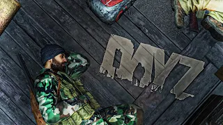 Голубиное гнездо и начало на подпивас ➤ DayZ Standalone: ВЫЖИВАНИЕ 2023