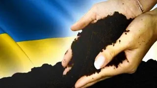 Украину предложили продать США для «защиты от России»