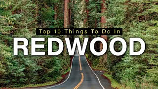 Top 10 Things To Do In Redwood National Park